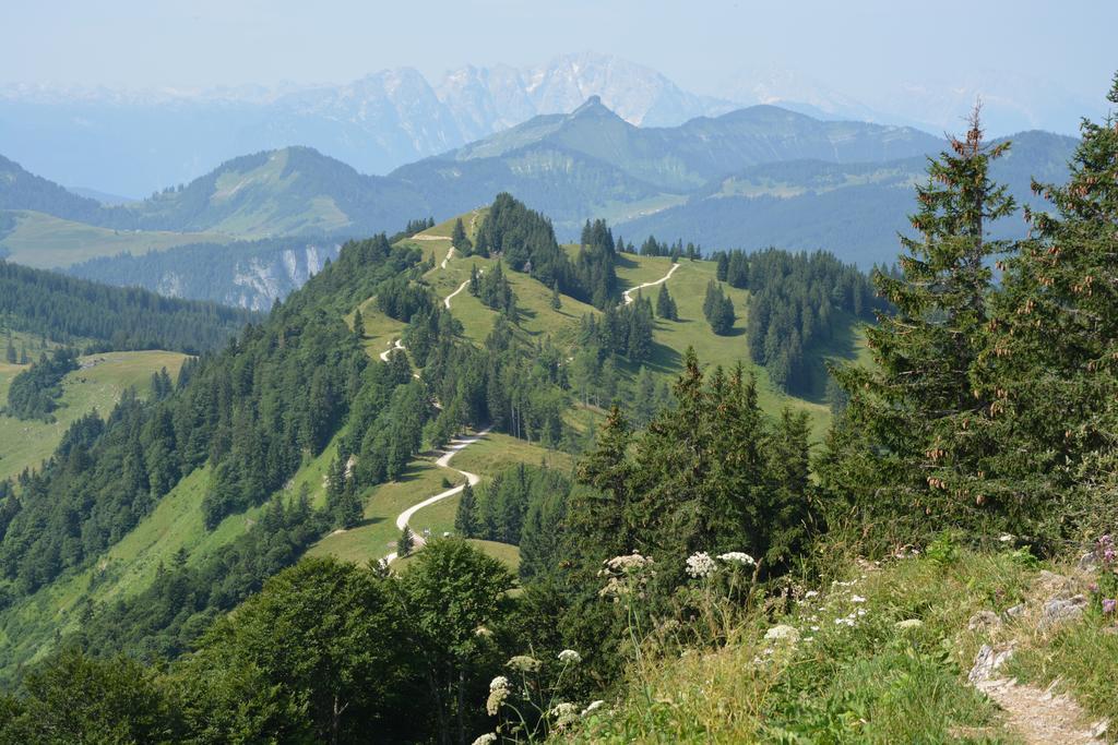 Appart Weisse Urlauben Am Wolfgangsee St. Gilgen Zewnętrze zdjęcie